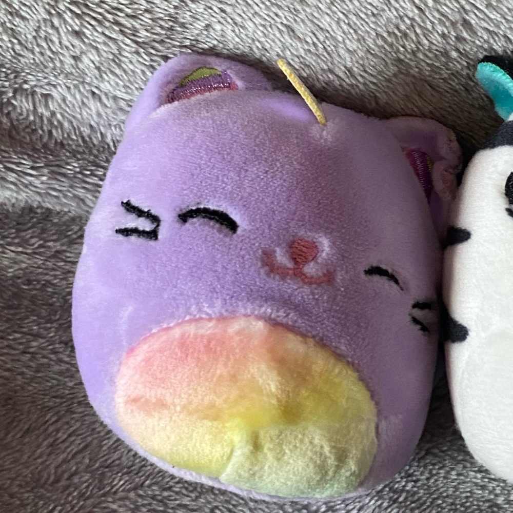Squish trade